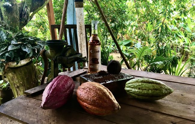 Cacao farm in Baracoa, Cuba