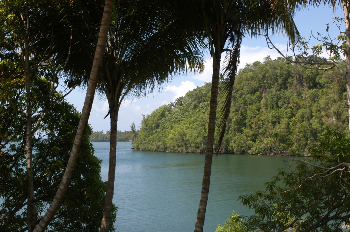 Humboldt Park trip in Baracoa