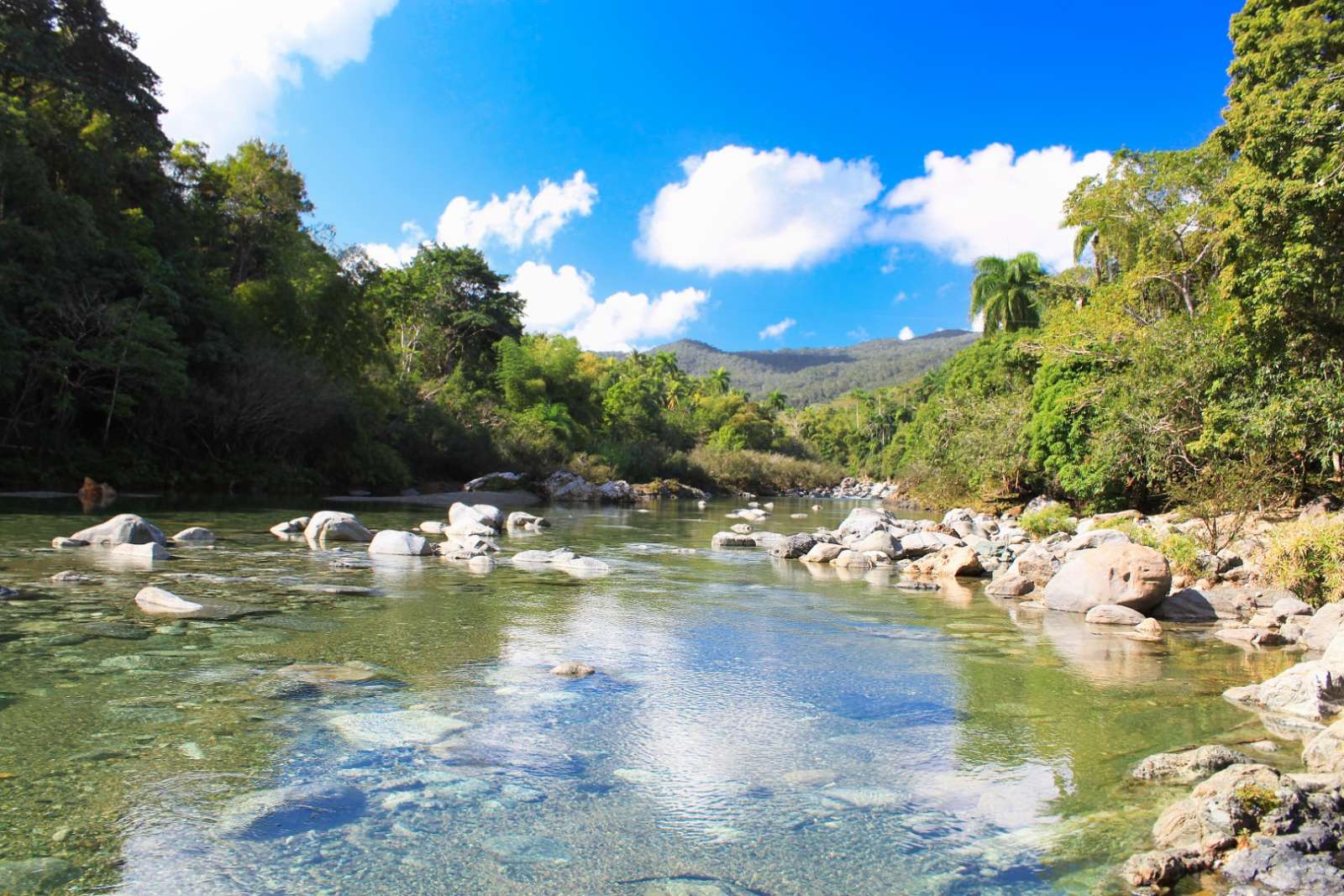 Rio Toa in Baracoa Cuba