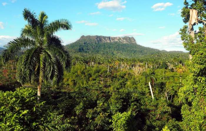 Hike to El Yunque in Baracoa