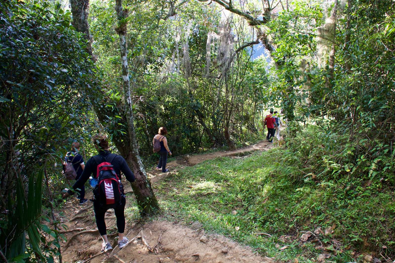 Trekking in the Sierra Maestra near Bayamo