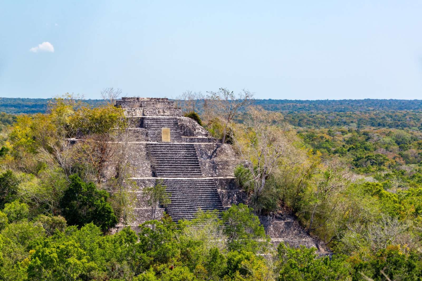 Calakmul Mexico Pyramid Jungle