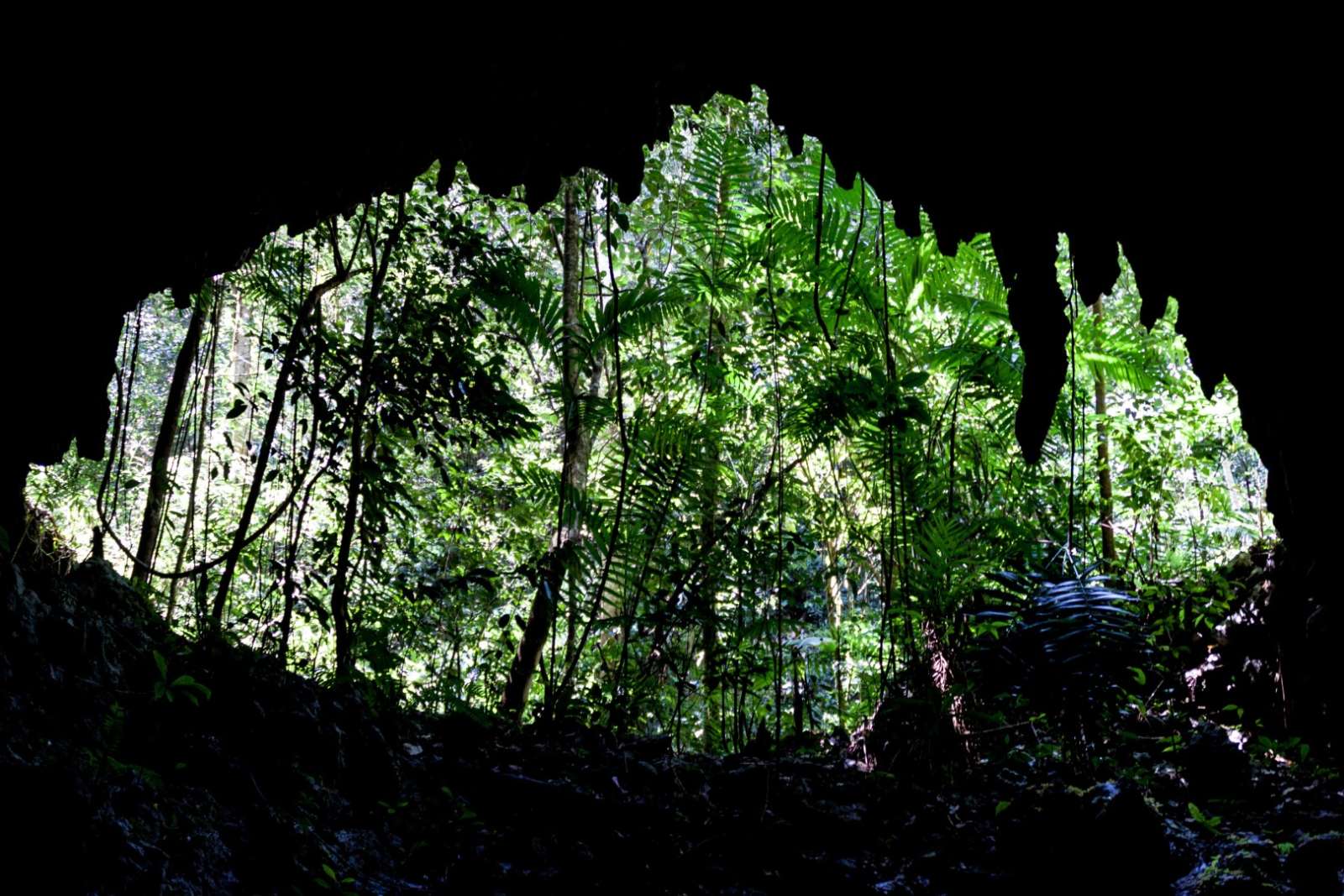 Roof cave opening at Candelaria, Guatemala