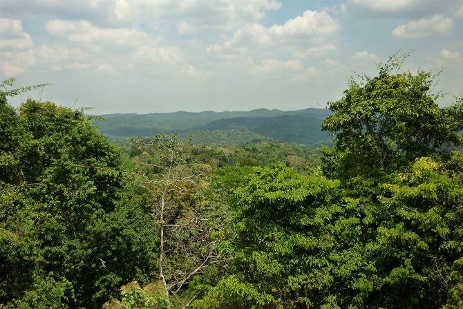 Views of the surrounding jungle at Caracol, Belize