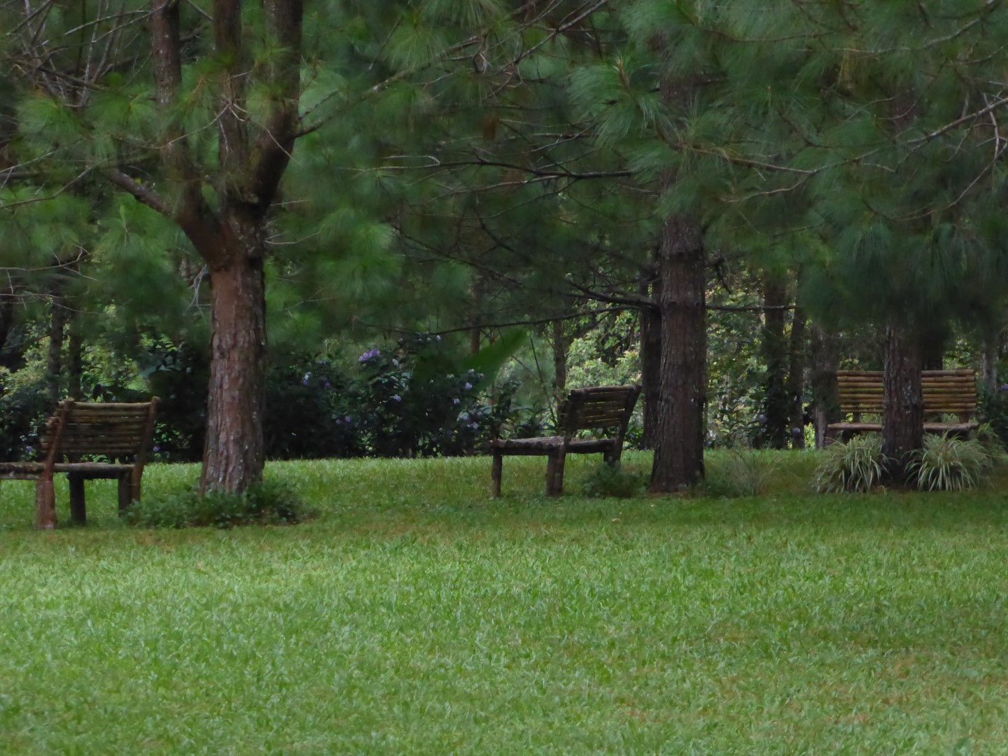 Garden benches at Casa Gaia in Coban