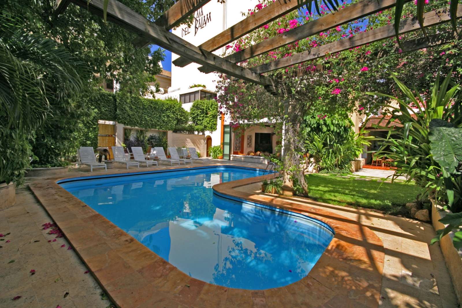 Swimming Pool hotel at Casa Del Balam in Merida