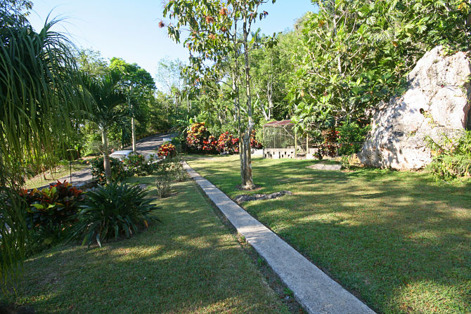 The garden at Casa Agapito in Soroa