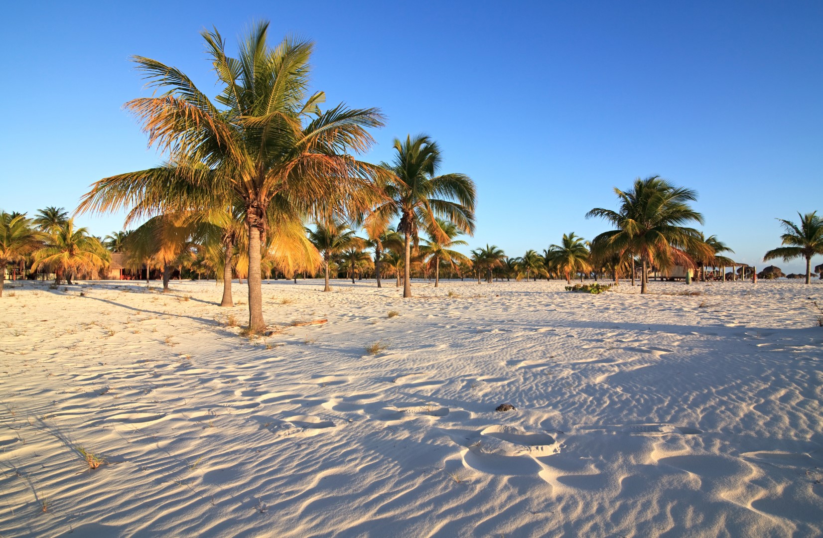 Playa Sirena on Cayo Largo. Cuba.