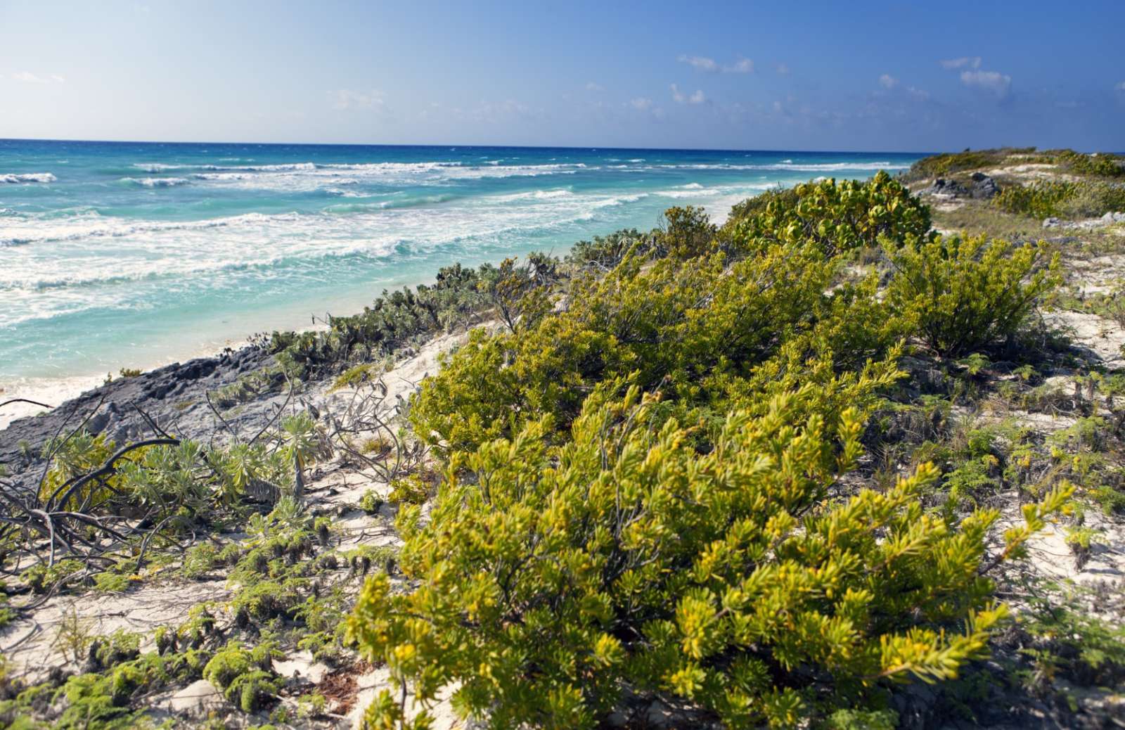 A rocky stretch of beach on Cayo Largo, Cuba