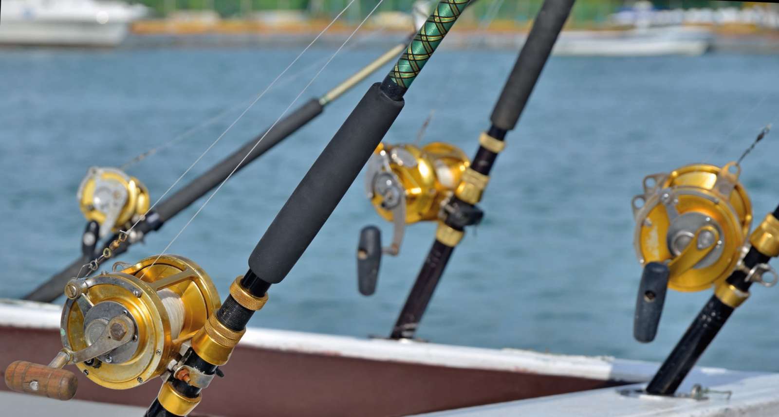 Deep sea fishing from Cayos de Villa Clara, Cuba