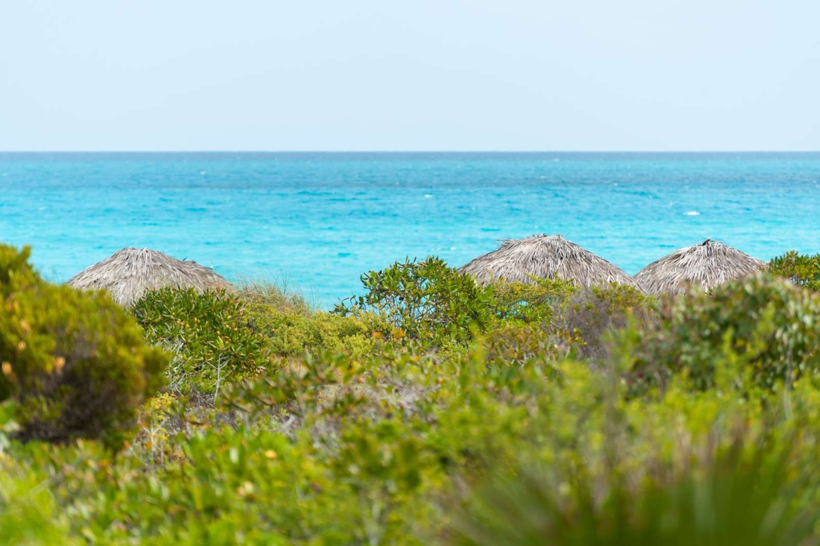 Beach palapas at Cayos de Villa Clara