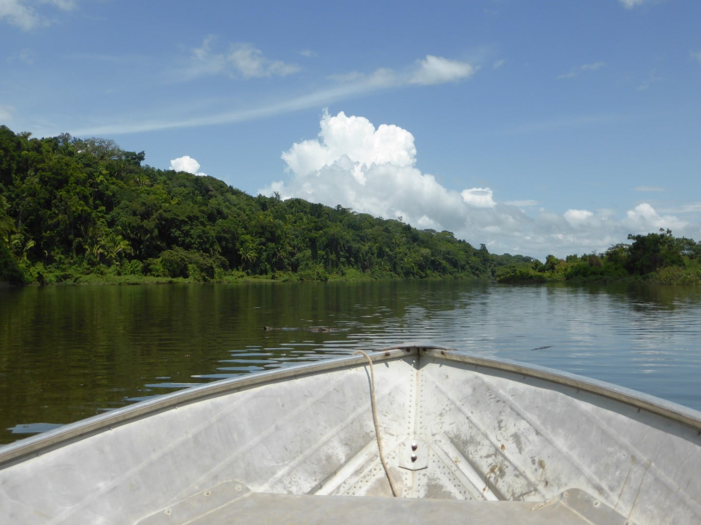 Boat trip on Pasion River leading to Ceibal, Guatemala