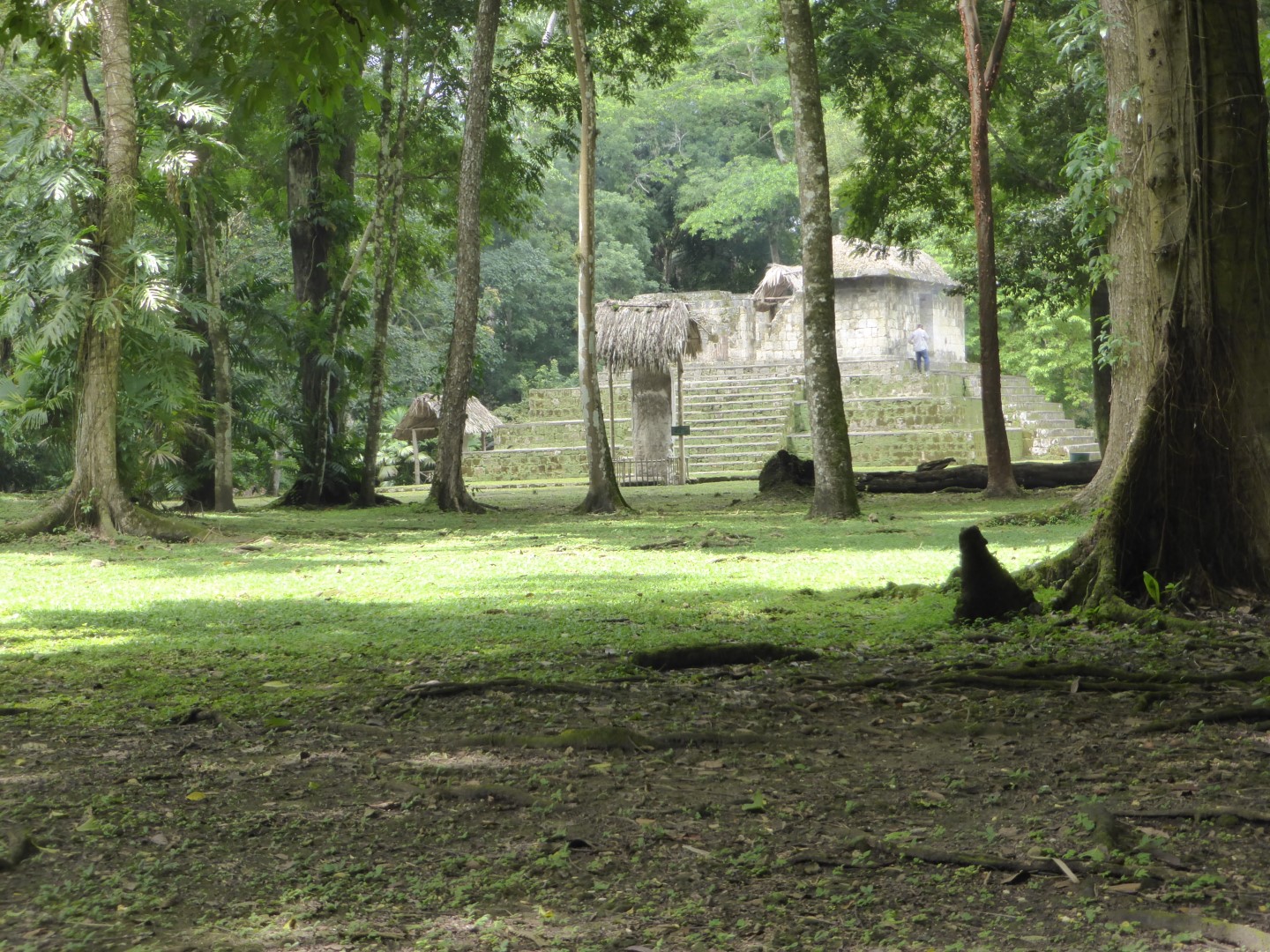 Ruins at Ceibal in Guatemala