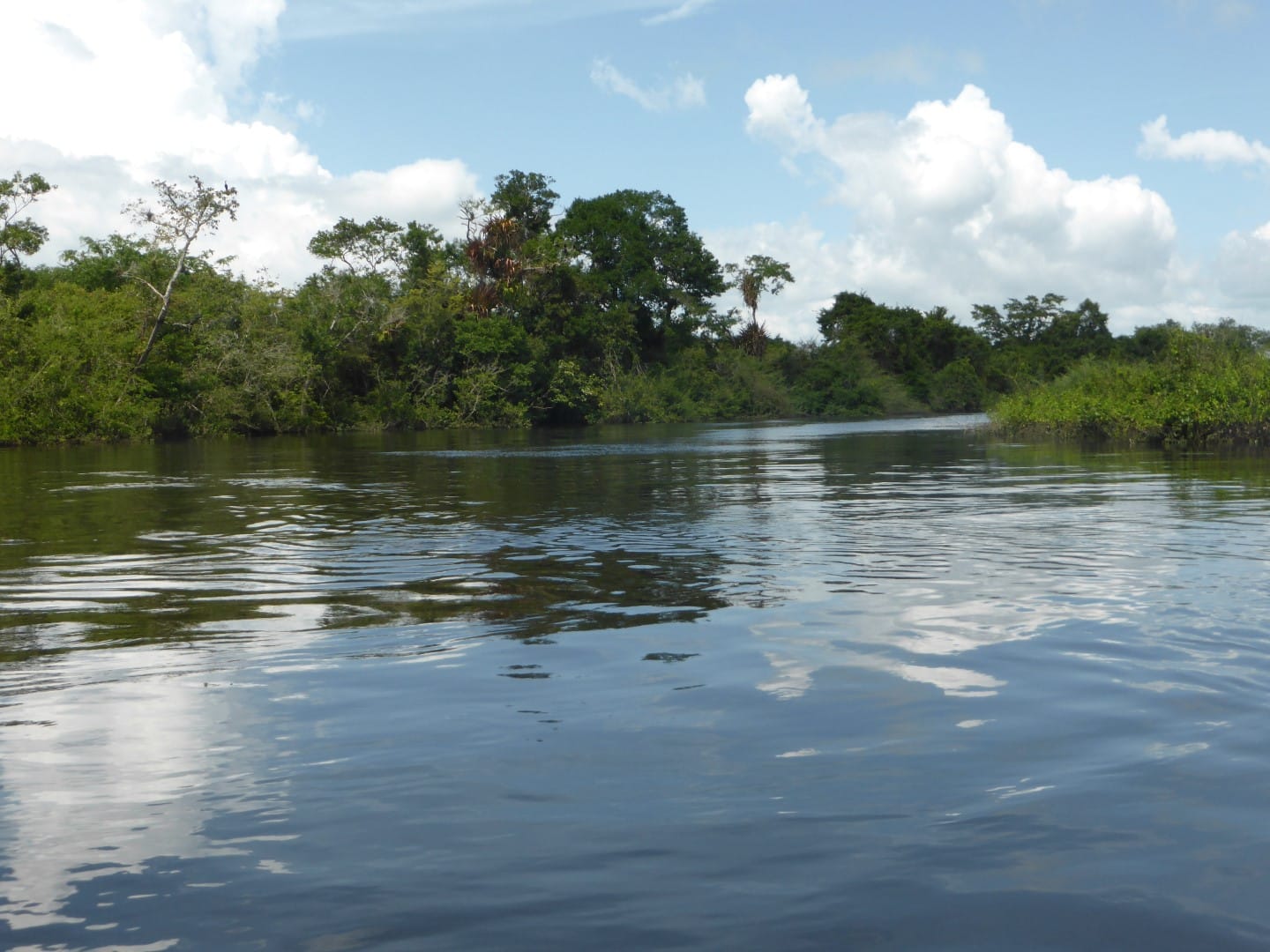 River journey to Chiminos Island Lodge at Petexbatun