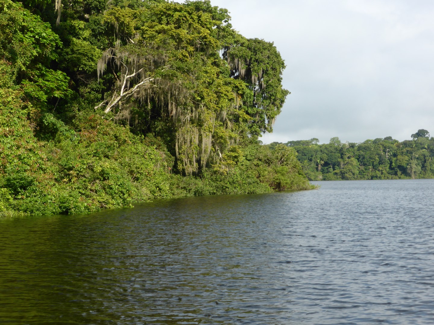 Jungle on Chiminos Island Lodge at Petexbatun