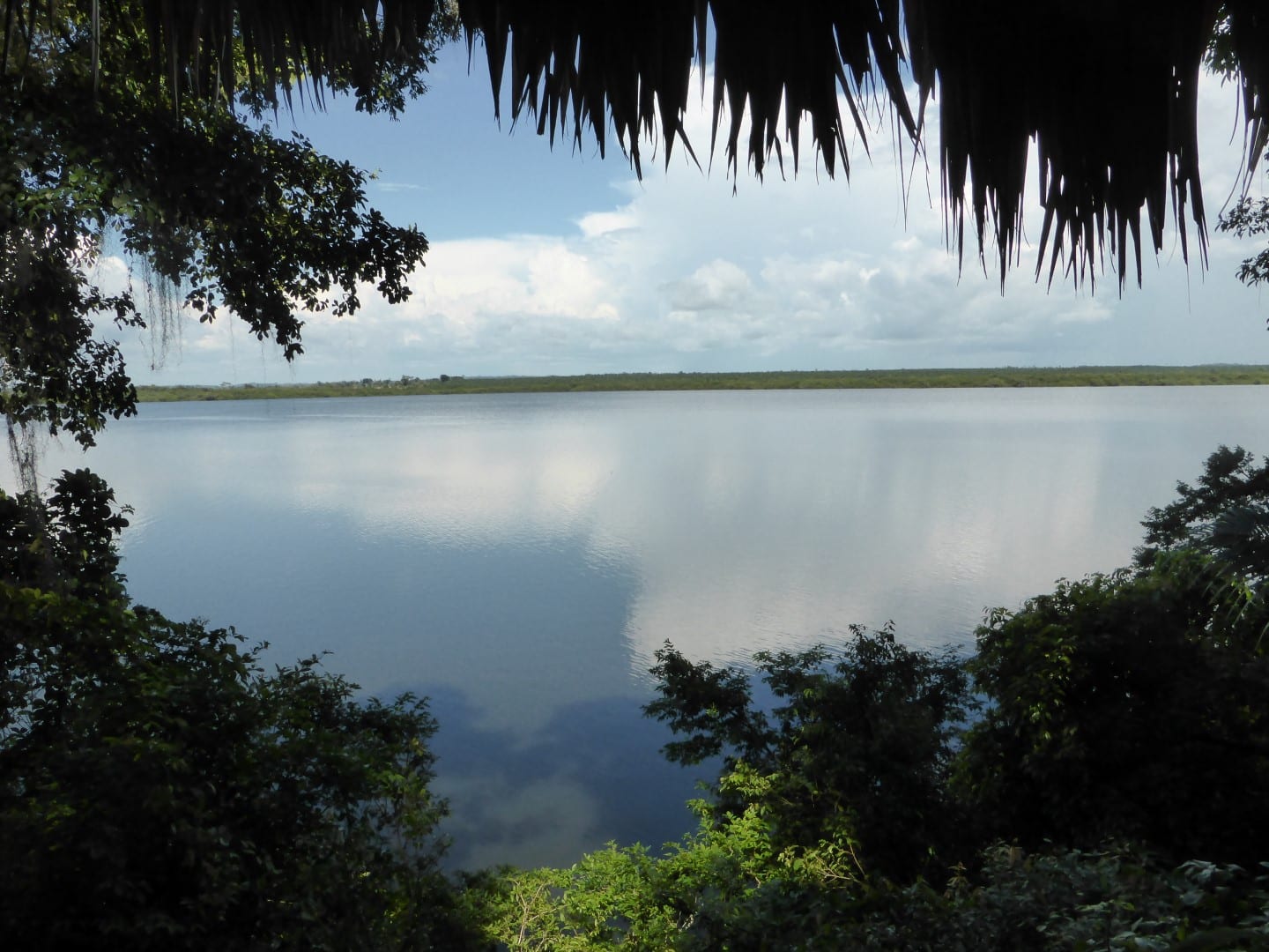 View of lake from Chiminos Island Lodge at Petexbatun