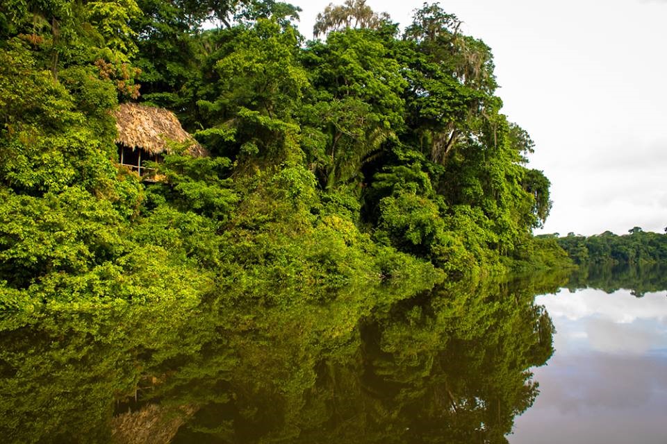 View from lake of Chiminos Island Lodge at Petexbatun