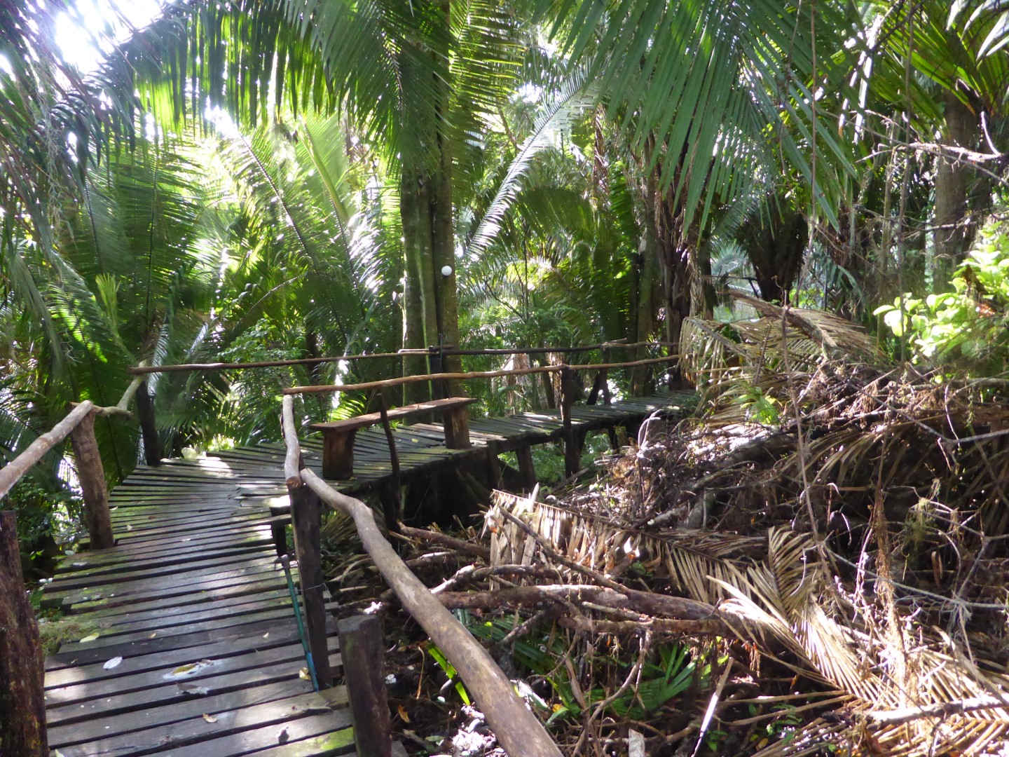 Wooden walkway at Chiminos Island Lodge at Petexbatun