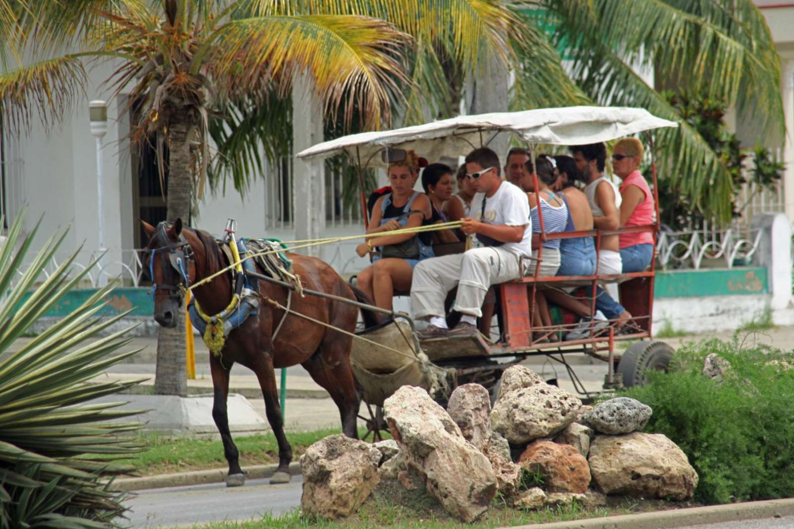 Horse carriage in Cienfuegos, Cuba