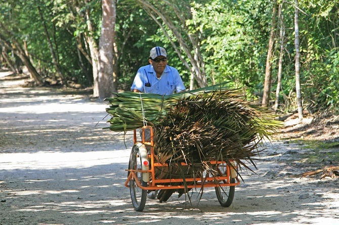 Trishaw on the Sacbe at Coba in Mexico