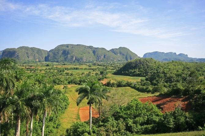 The famous mogotes of the Vinales Valley in Cuba