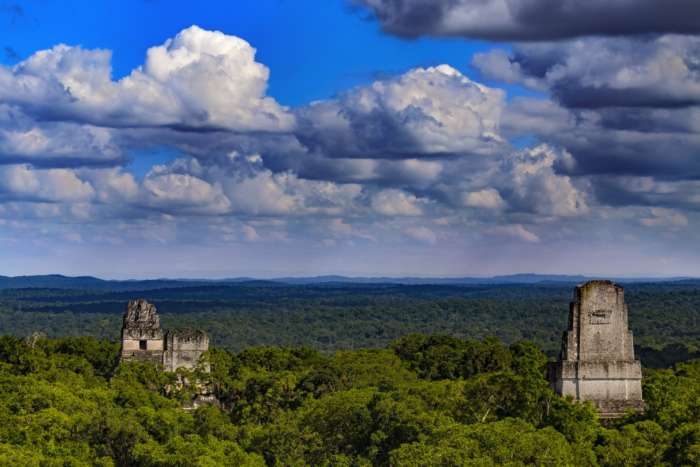 Mayan ruins rising above the jungle canopy in Tikal, Guatemala