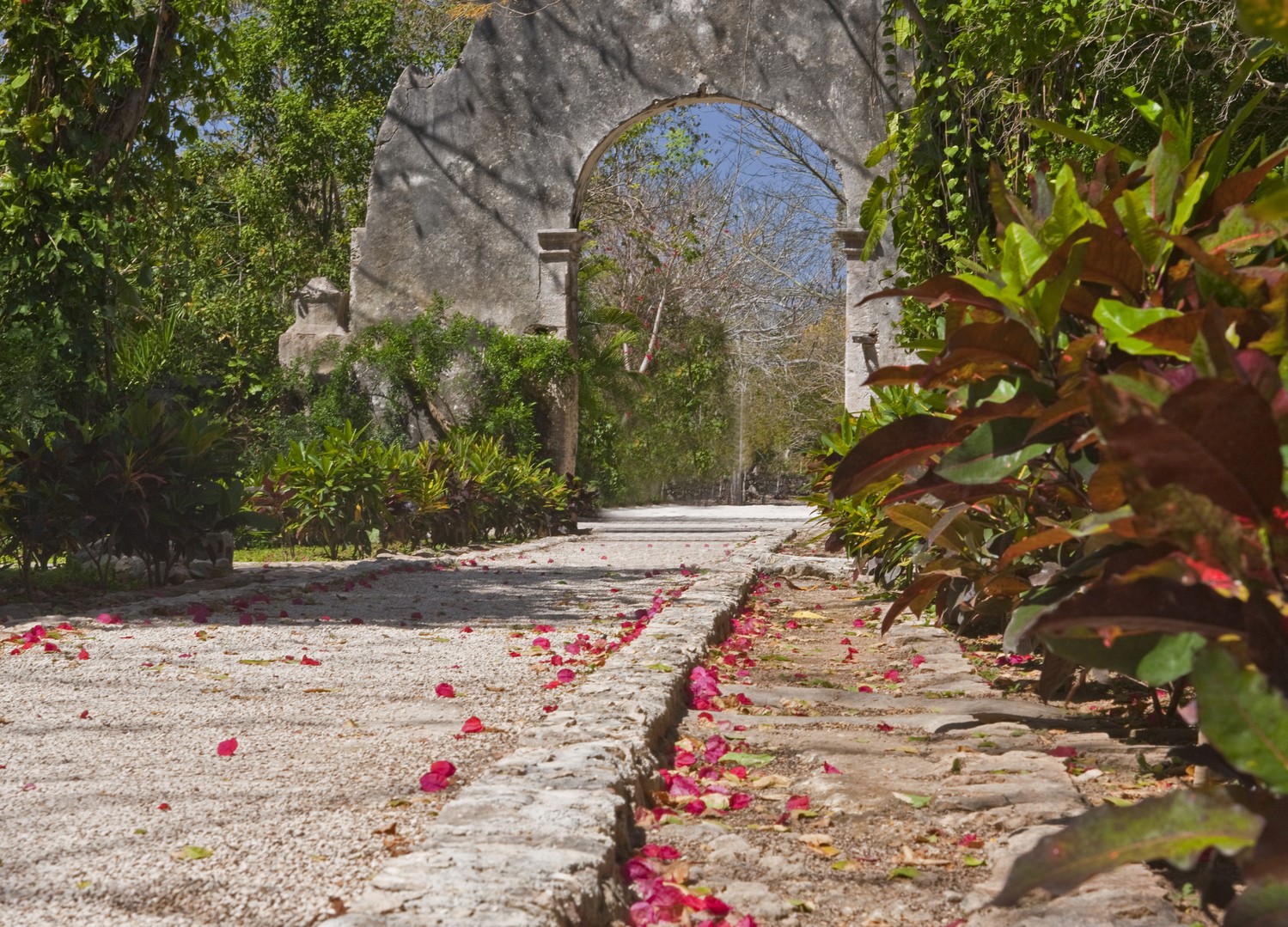 Driveway at Hacienda San Jose