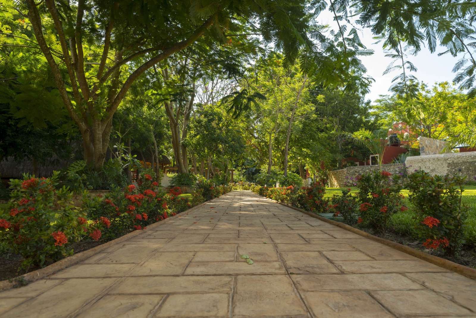 Pathway at Hacienda Santa Cruz