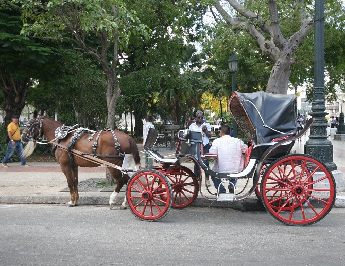 A horse-drawn carriage on the streets of Old Havana, Cuba