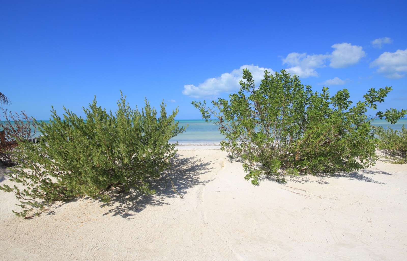 Sandy beach on Holbox, Mexico