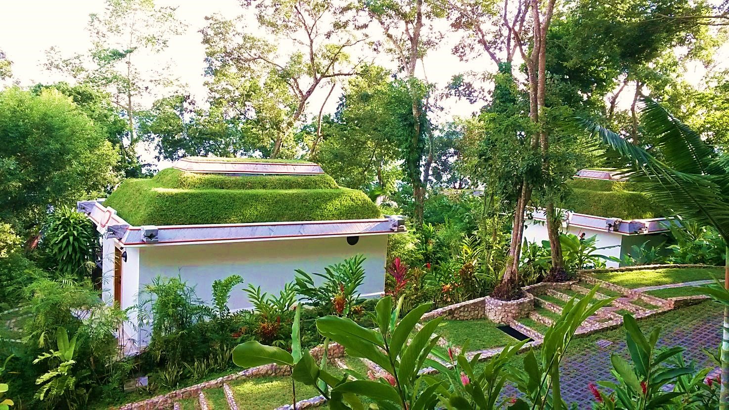Garden at Hotel Bolontiku