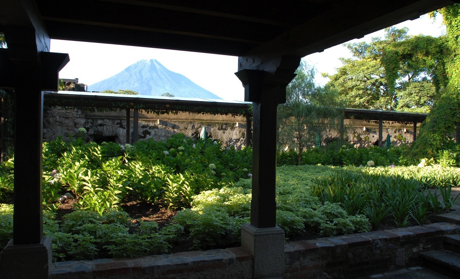 Vegetable garden at Hotel Casa Santo Domingo in Antigua