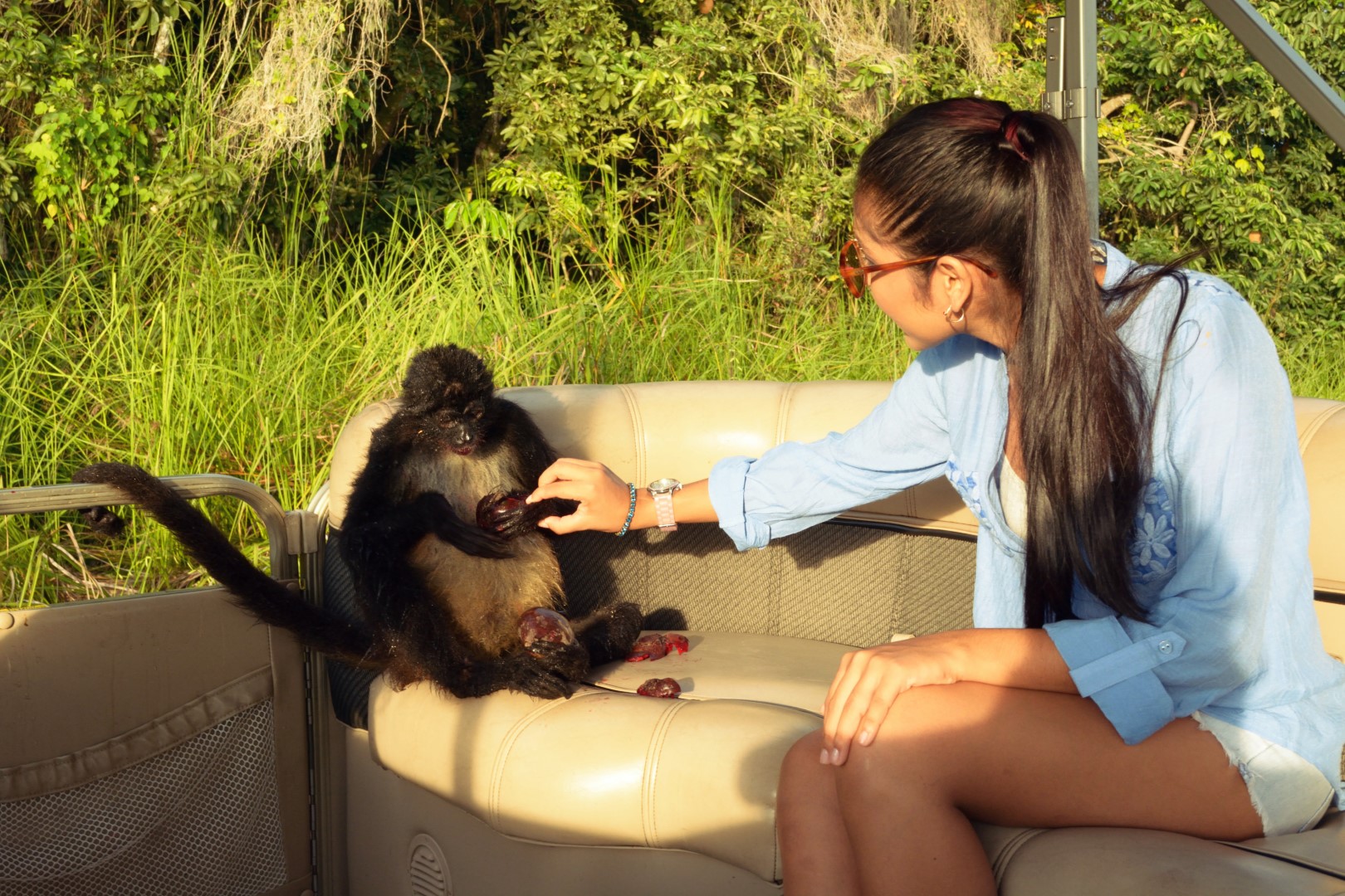 Monkey on boat at Hotel Las Lagunas, Guatemala