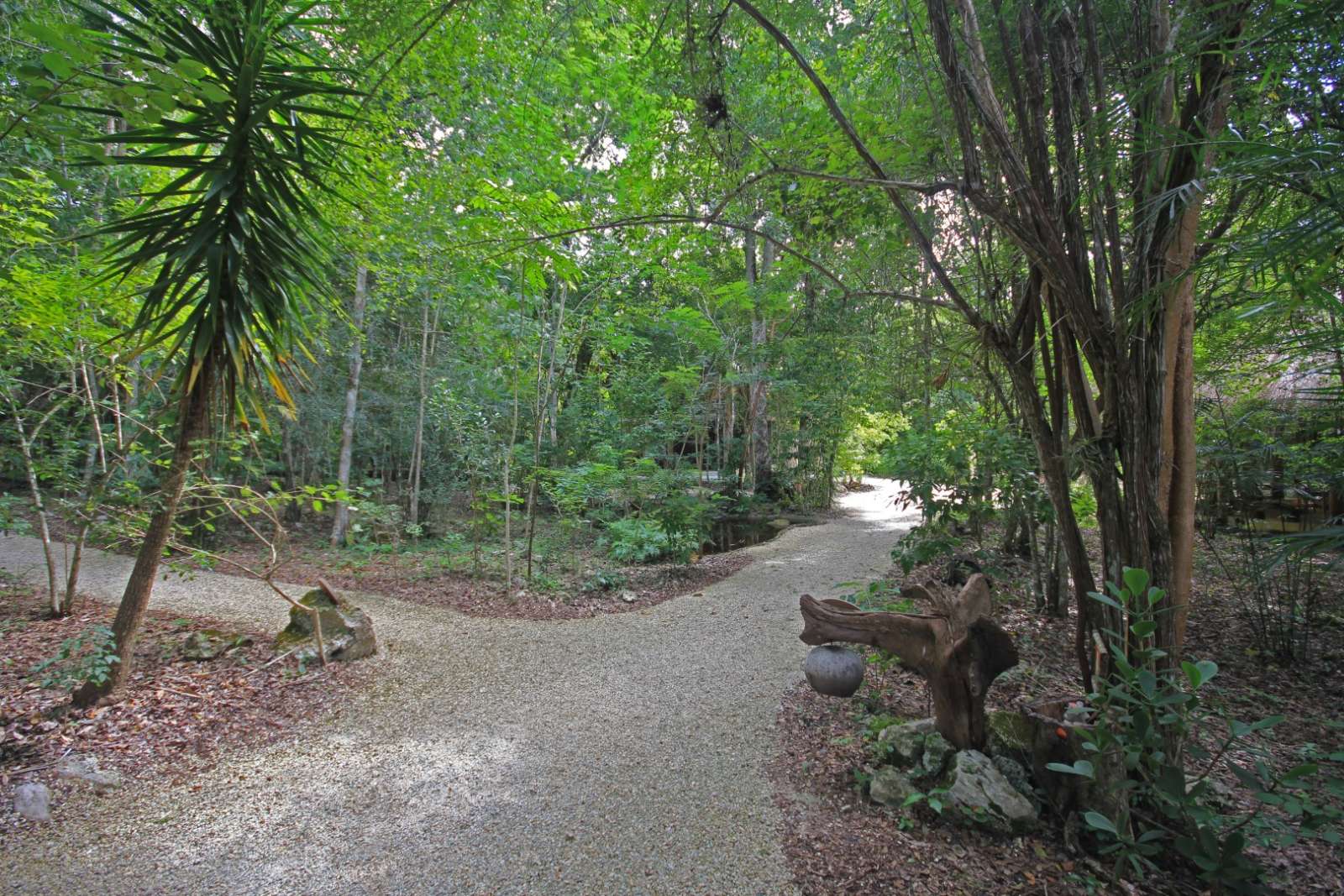 Pathway at Hotel Puerta Calakmul