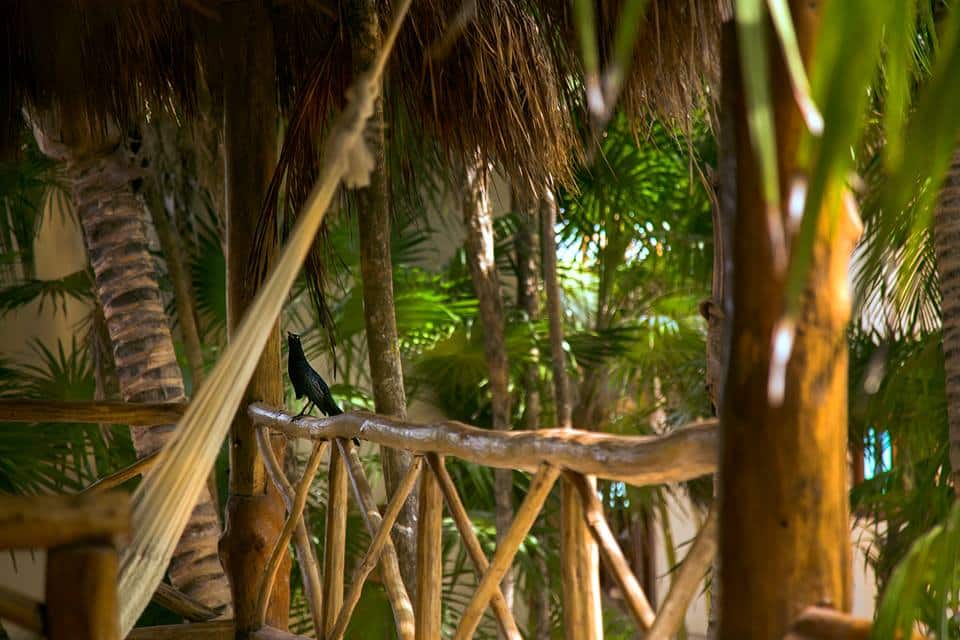 Balcony at Hotel Rosa Del Viento