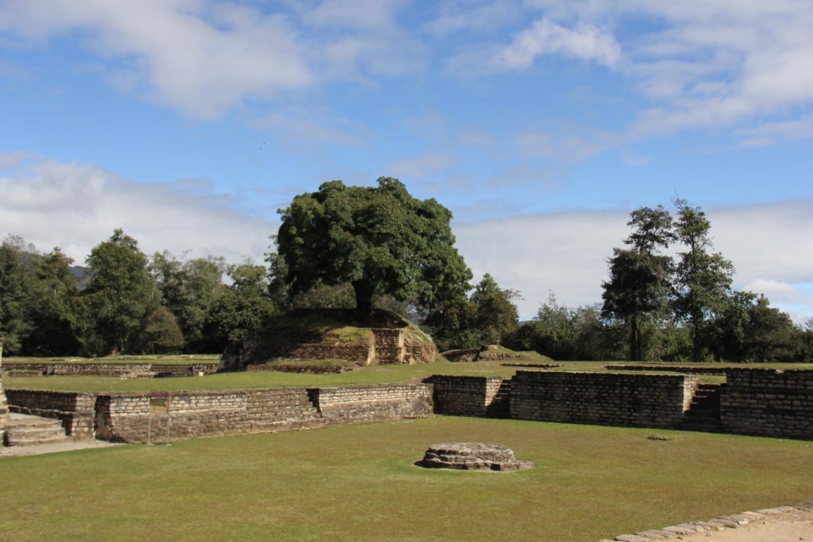 A tree growing through the Mayan ruins at Iximche