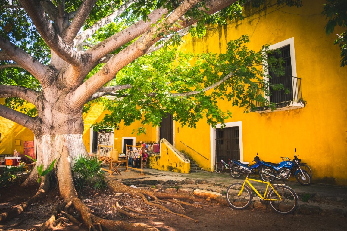 Large tree in Izamal Mexico