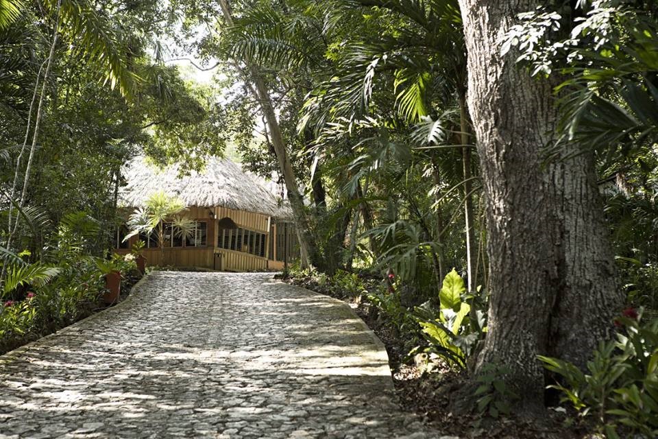 Driveway at Jungle Lodge Tikal