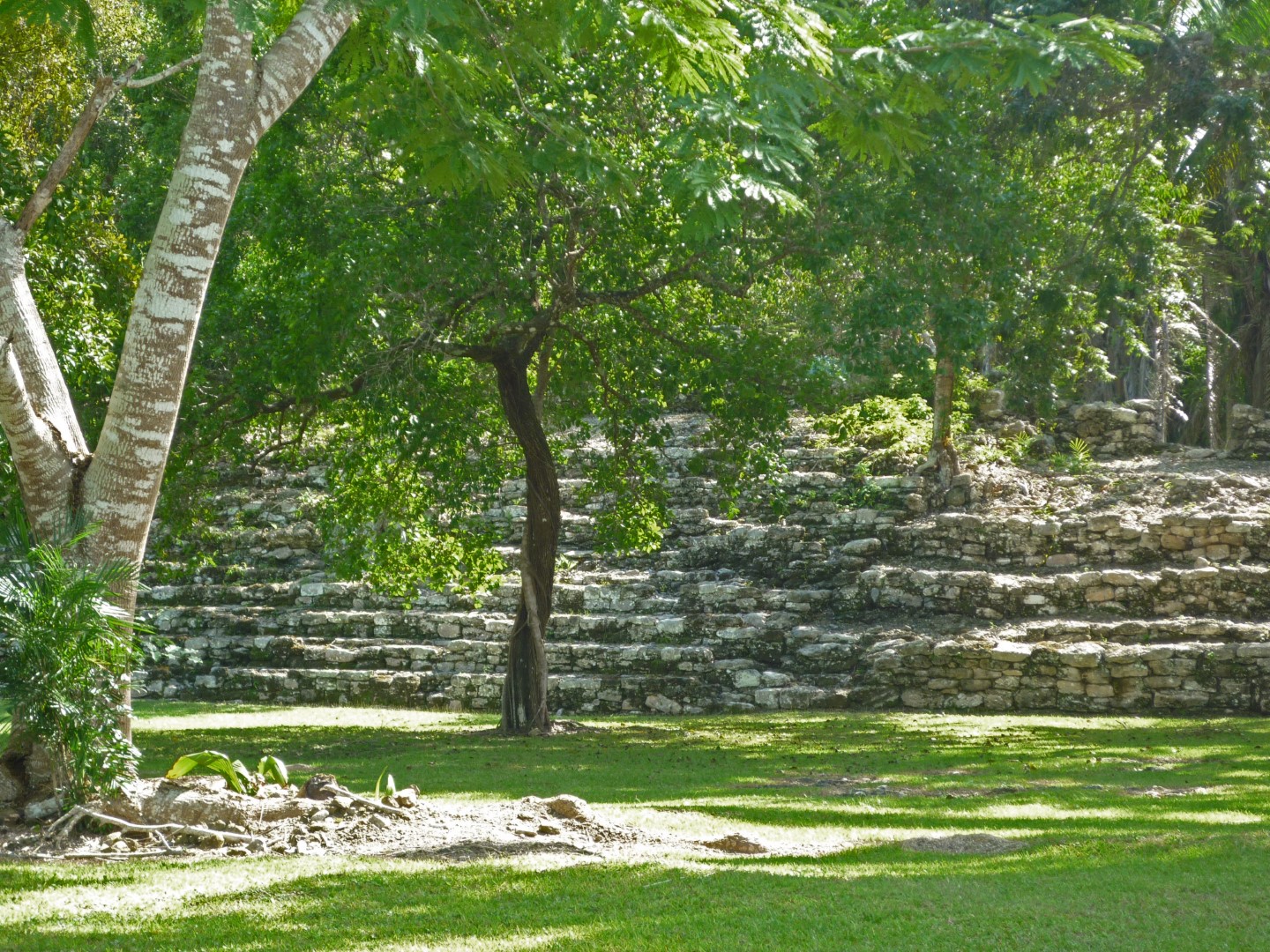 Kohunlich Mexico Mayan Ruins