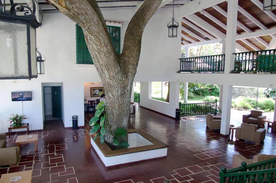 Tree growing through roof of the lobby at La Moka hotel in Las Terrazas, Cuba