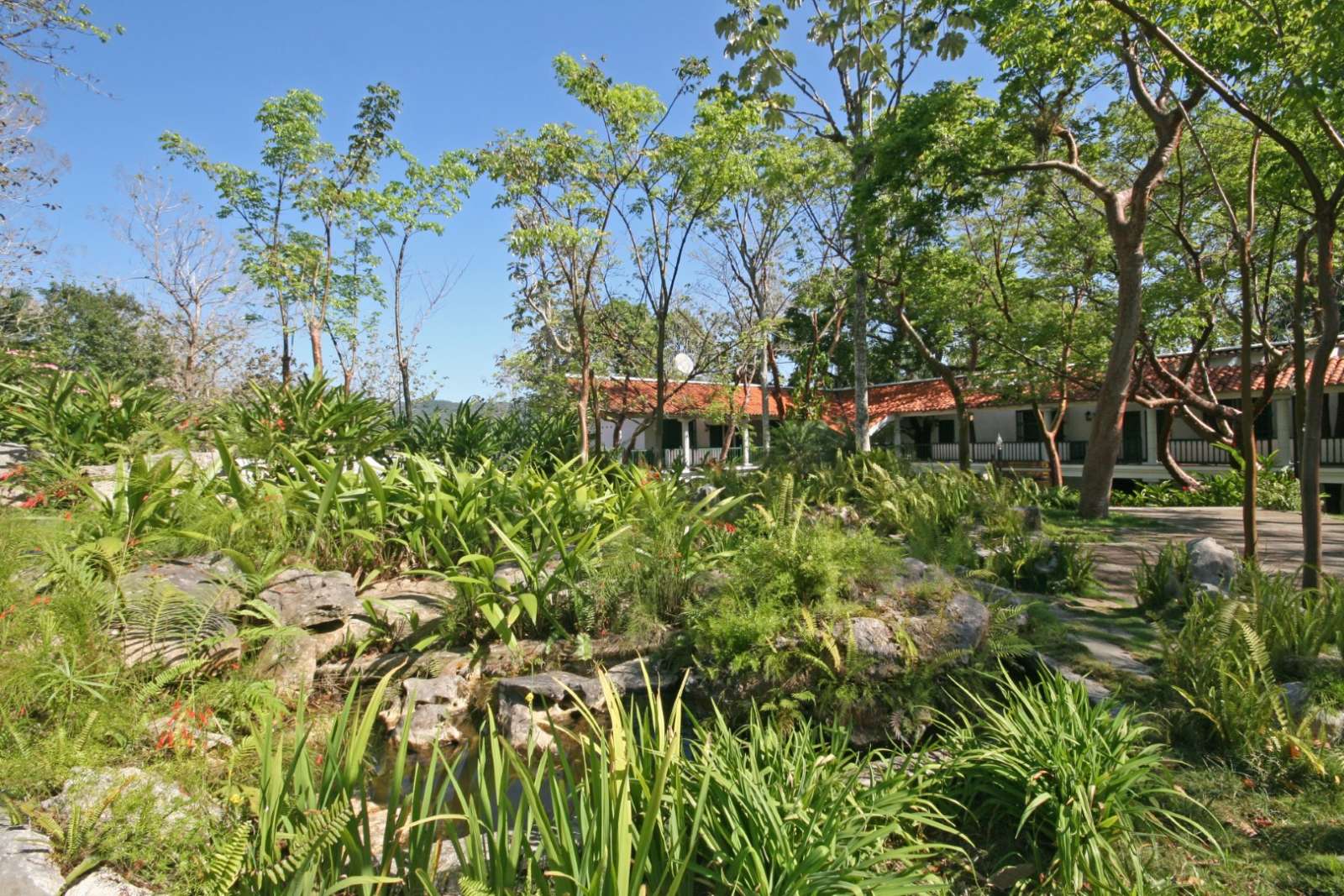 Rock garden at La Moka hotel in Las Terrazas, Cuba