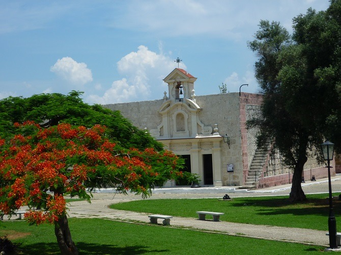 A colourful tree and building at La Cabana Havana