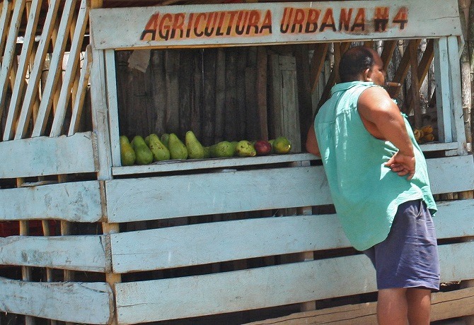 A fruit stall on La Farola en-route to Baracoa