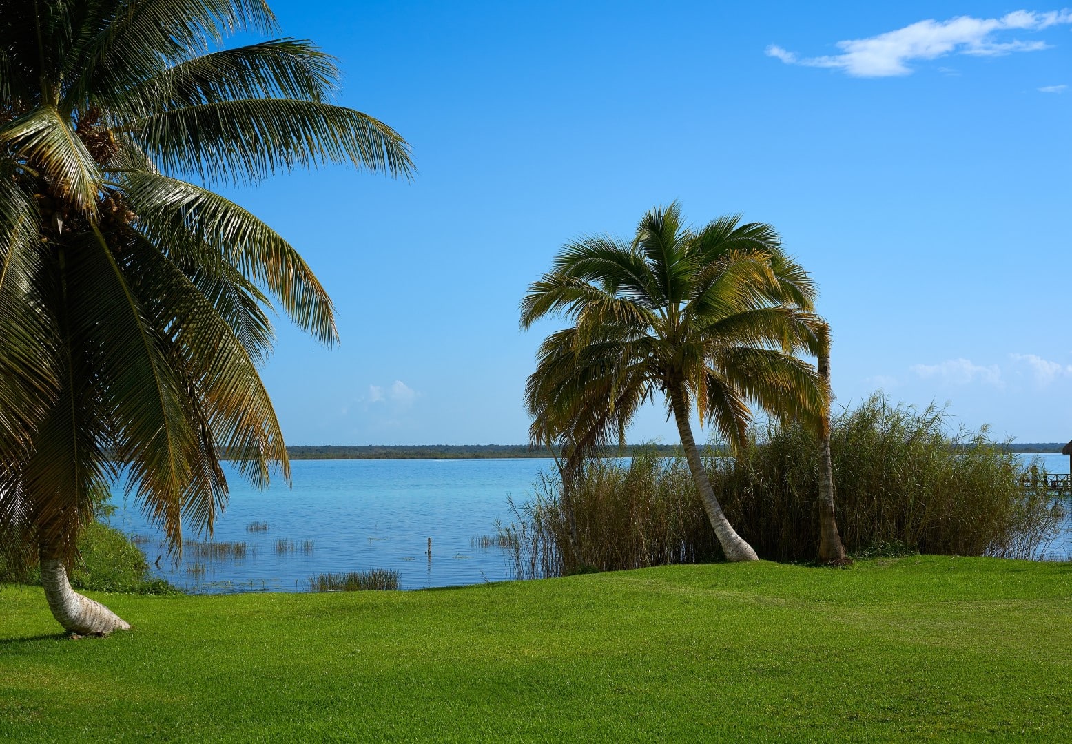 Garden overlooking Laguna Bacalar