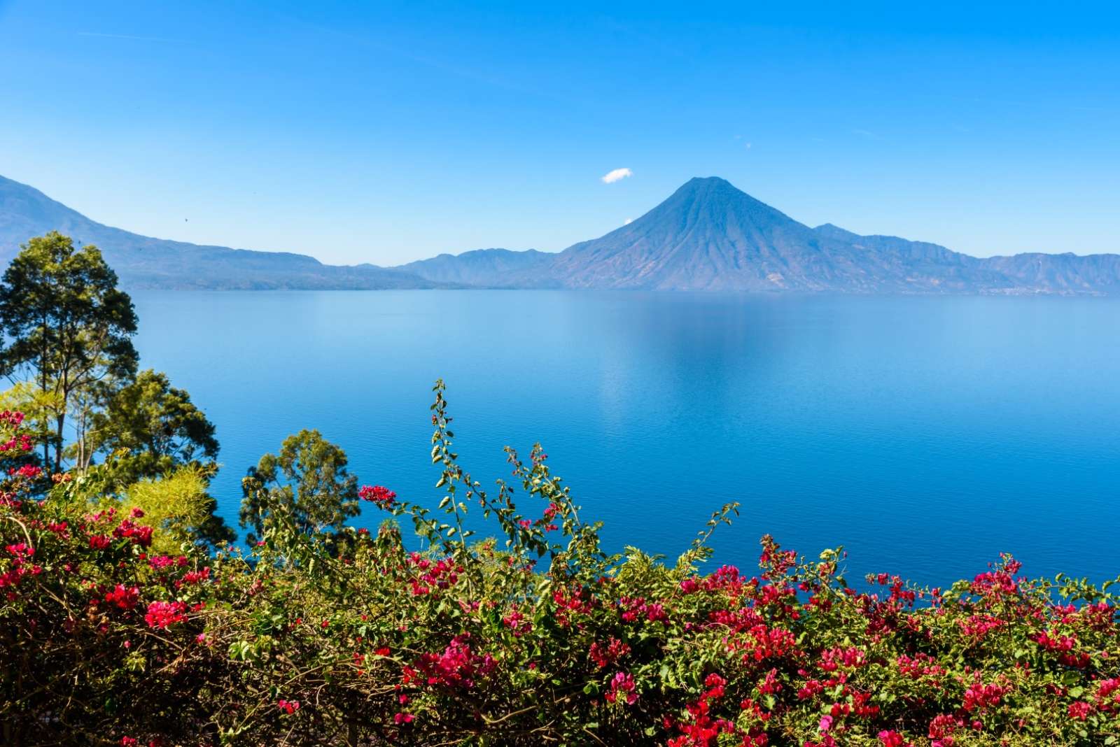 Panoramic view of Lake Atitlan, Guatemala through flowers