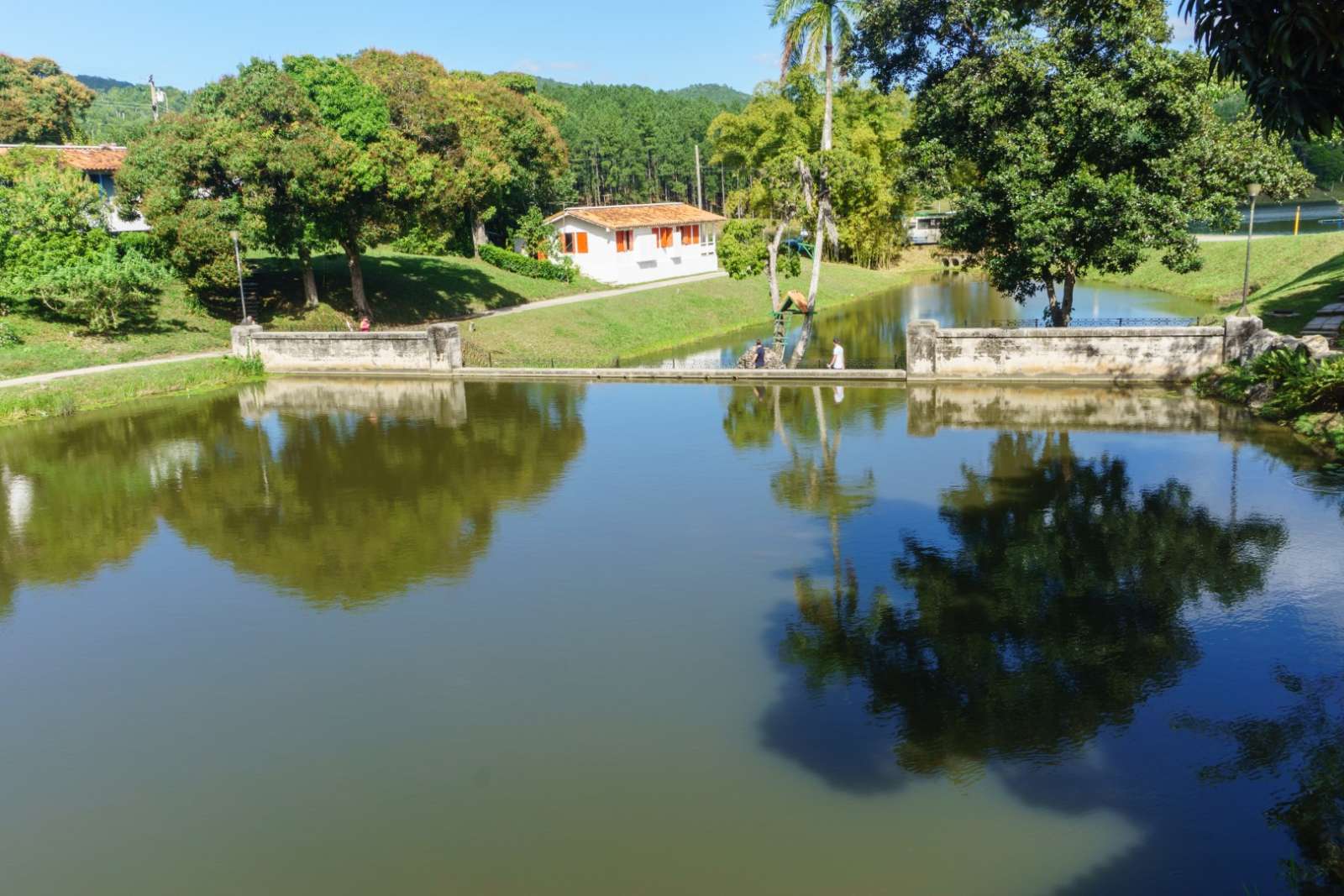 System of lakes at Las Terrazas, Cuba