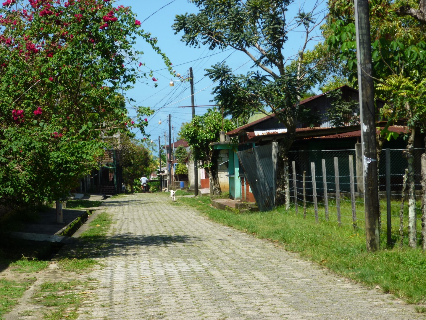 Quiet, cobbled street in Livingston, Guatemala