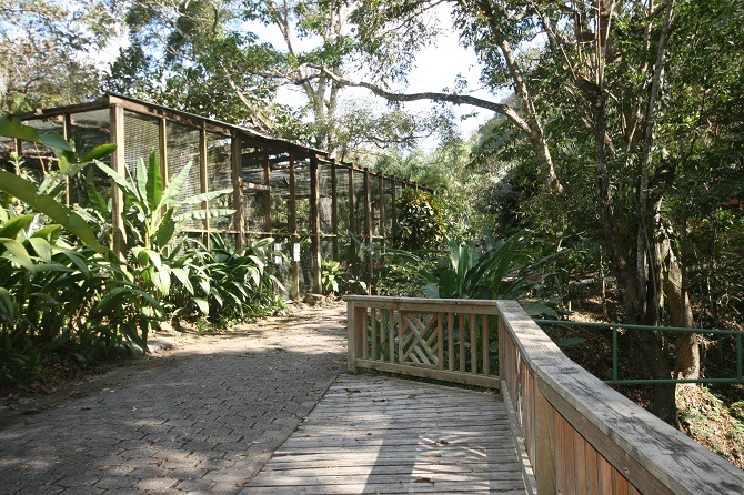 The walkway at Macaw Mountain Park in Copan