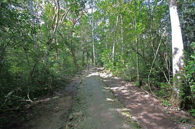 Maya ruins