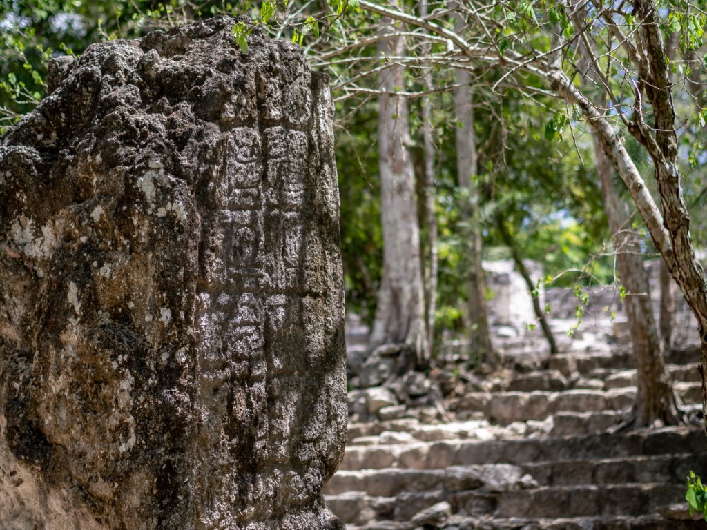 Carved stelae at Calakmul